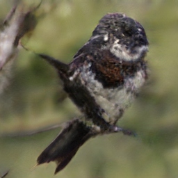 Vermillion Breasted Massachusetts Rusty Warbleston