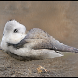 Scarlet Arkansas Wren
