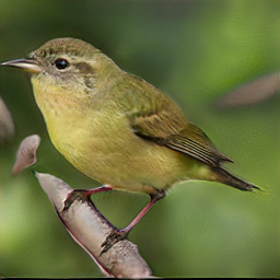 Blue Oregon Woodpebler