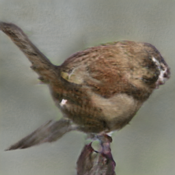 Olive Colored Telard