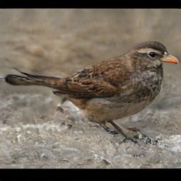 Rainbow Maryland Inside Vireen